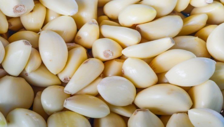 Spicchi d'aglio sbucciati