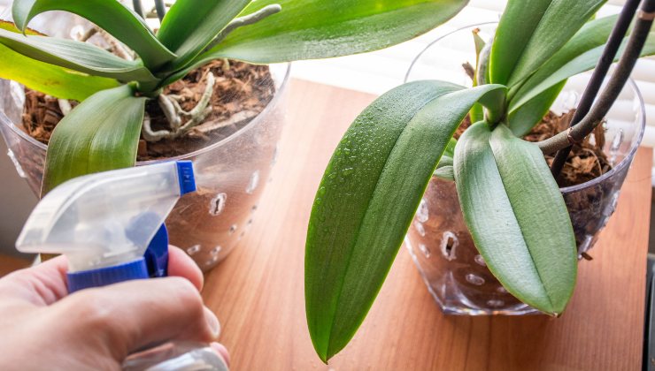 Pulverize o fertilizante