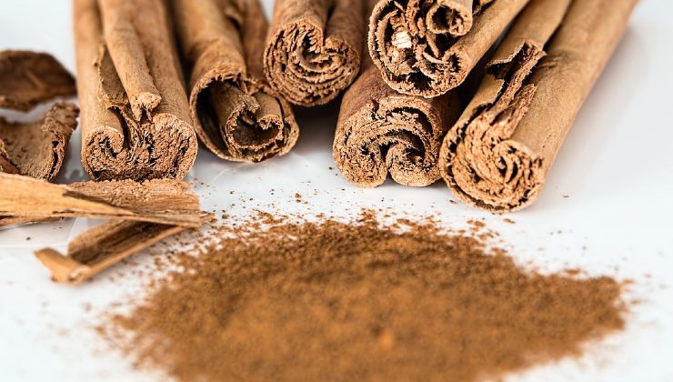 cannella per le piante 