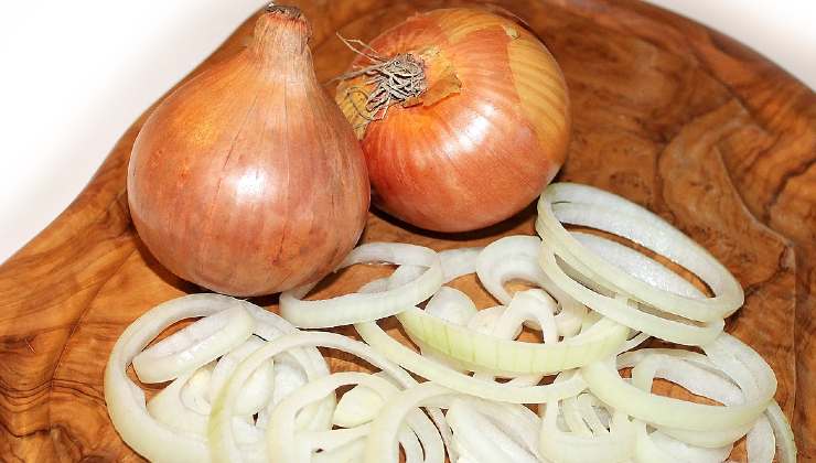 Remédio de cebola para plantas