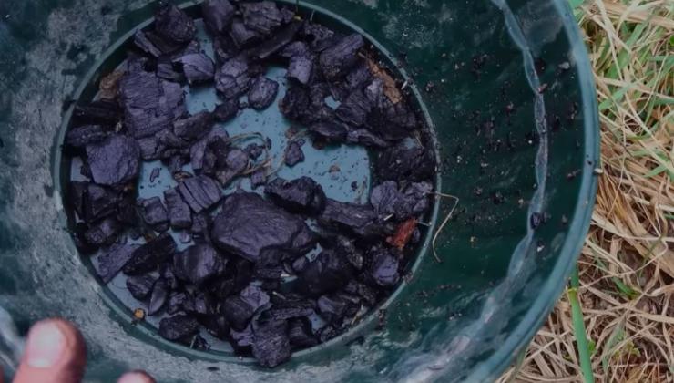 Colheita rica e saborosa com este produto