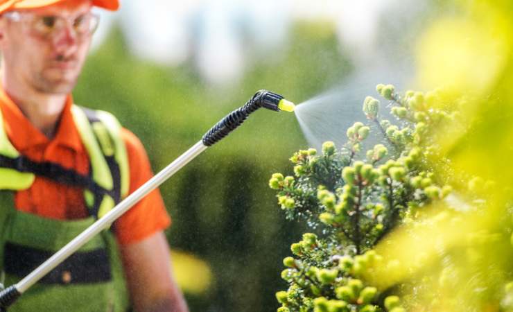 Fertilizante para plantas