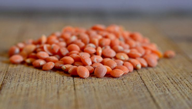 Lentilhas de ingrediente poderoso