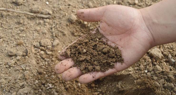 O solo para as plantas