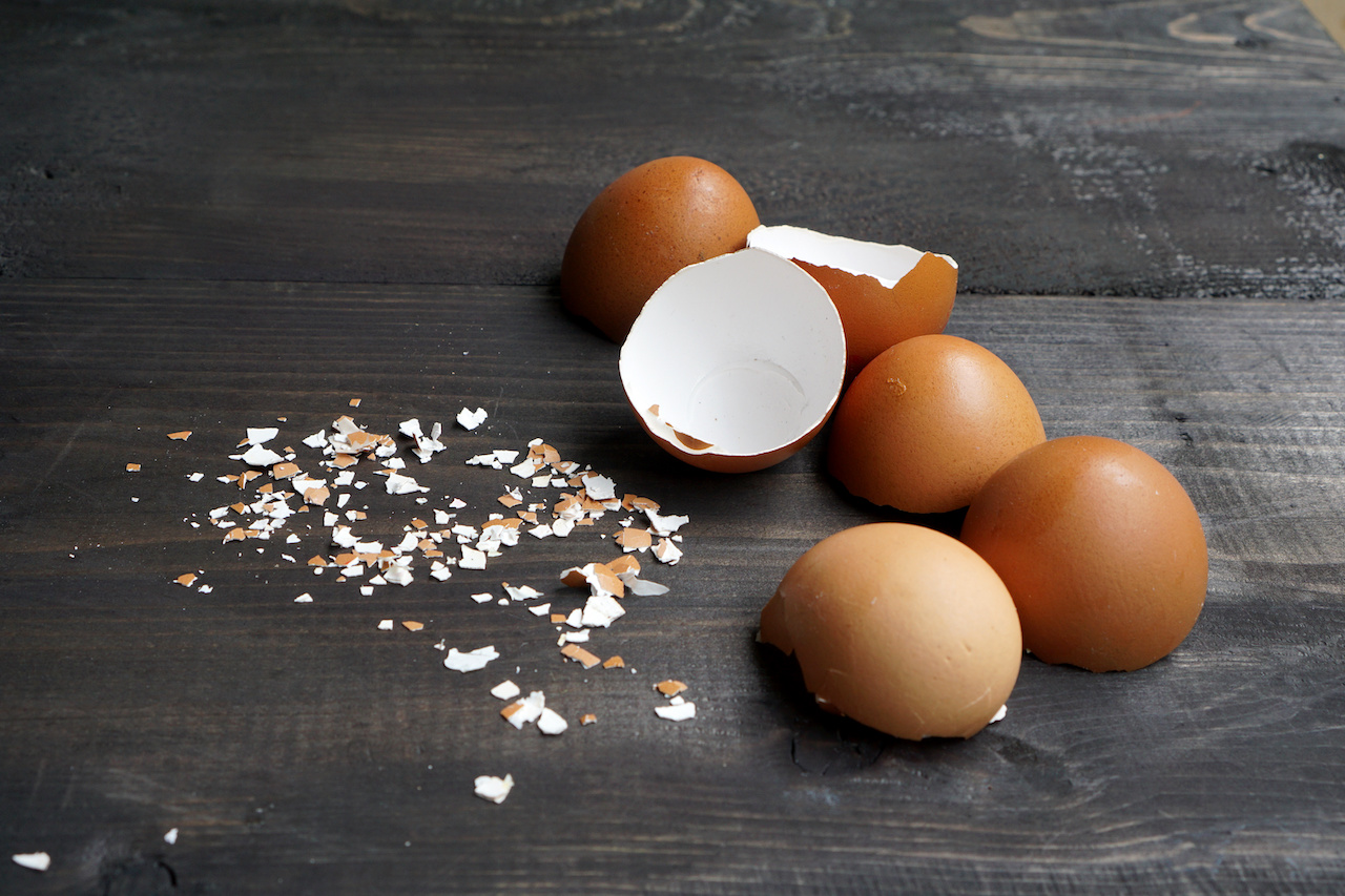 truque de casca de ovo de jardim