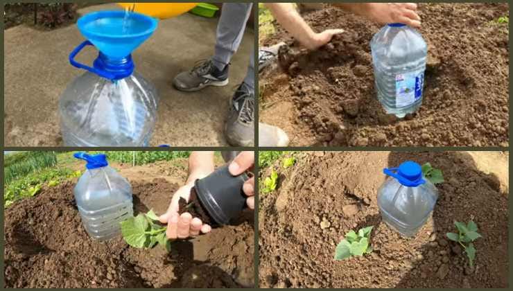 Técnica simples e conveniente para regar plantas