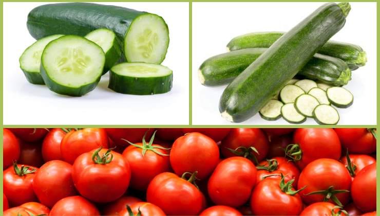 Pepinos, tomates e abobrinha