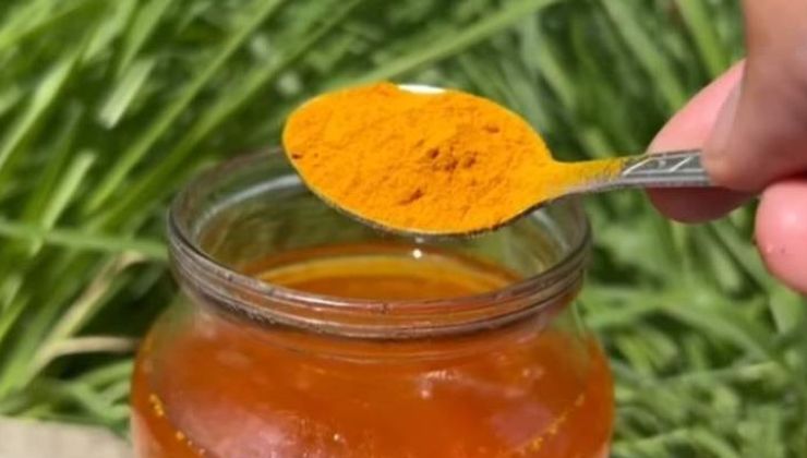 Fertilizante natural à base de açafrão e leite