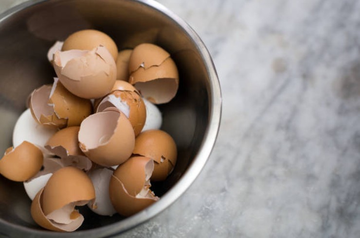 Cascas de ovo
