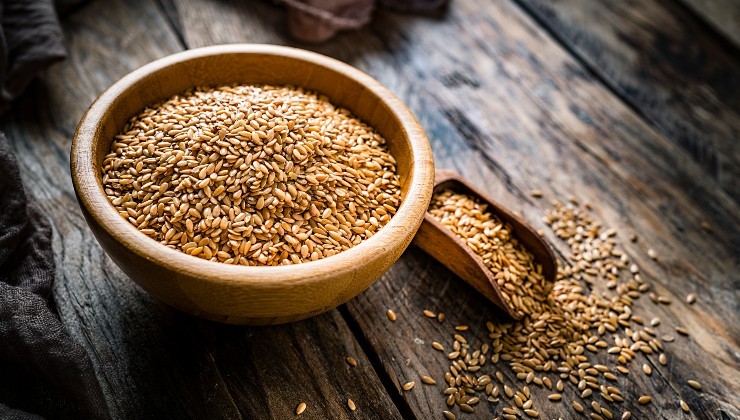 Linhaça como fertilizante Linhaça como fertilizante